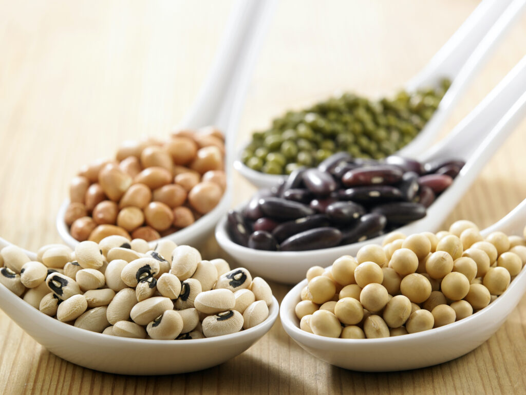 Alternative Proteins