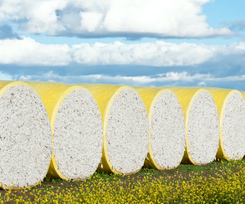 Sustainable Cotton